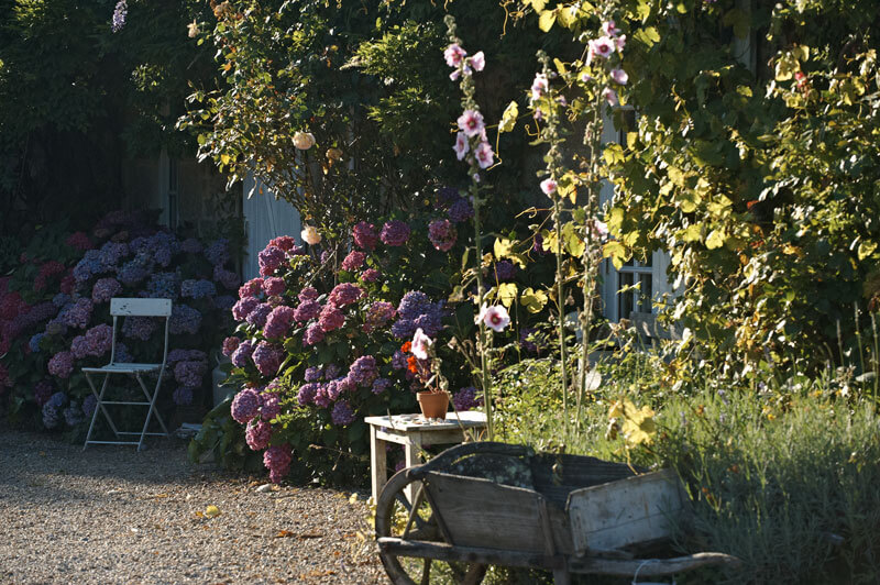 Jardin ferme de kerscuntec brouette chaise hortensias