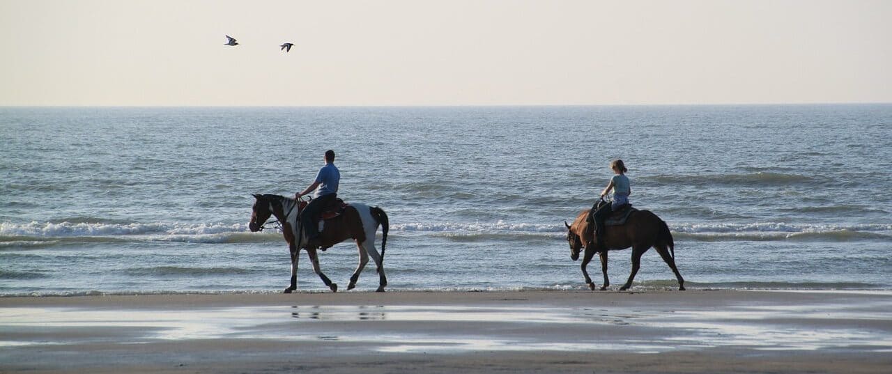 Randonnées à cheval en Bretagne Sud