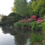 Parc botanique de Bretagne Sud