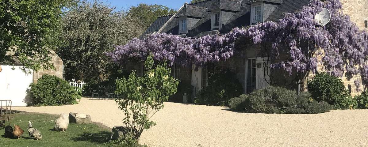 Jardin. Magie de la glycine