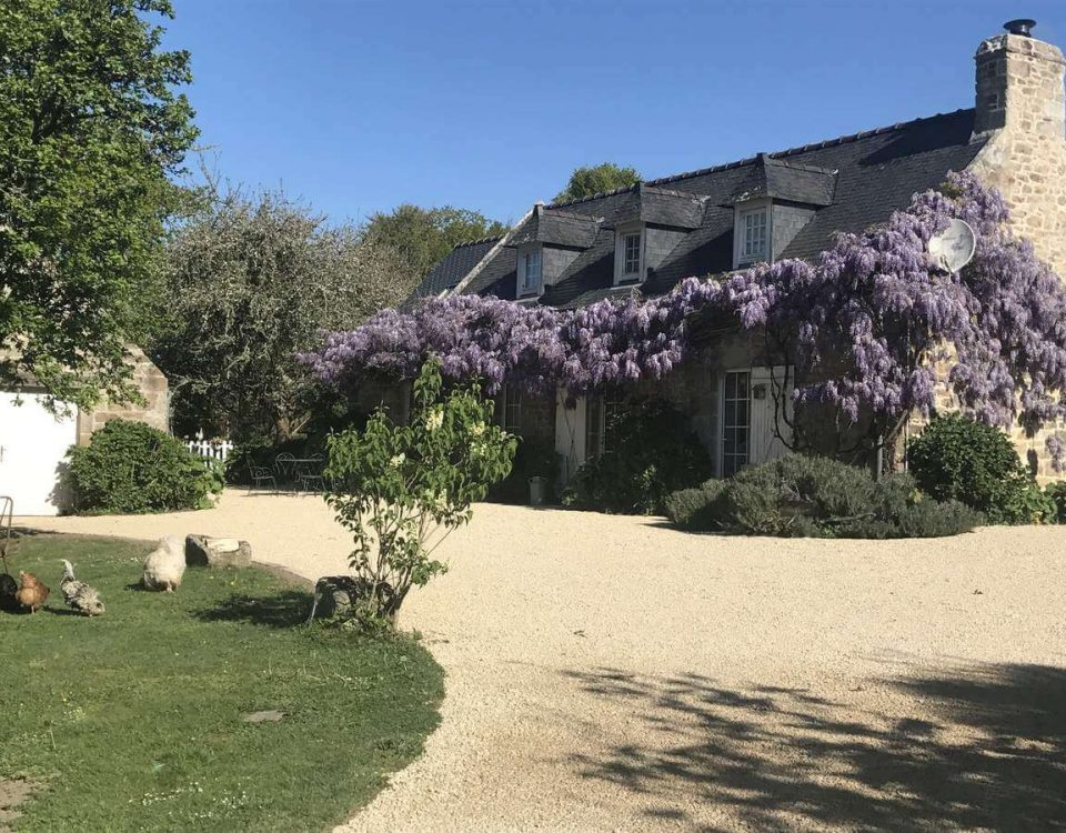 La Ferme de Kerscuntec avec la glycine omniprésente