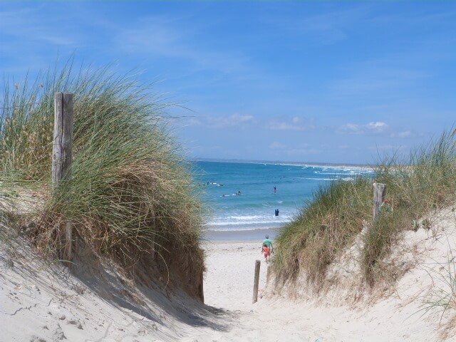 plage la torche proche de notre maison d'hôtes